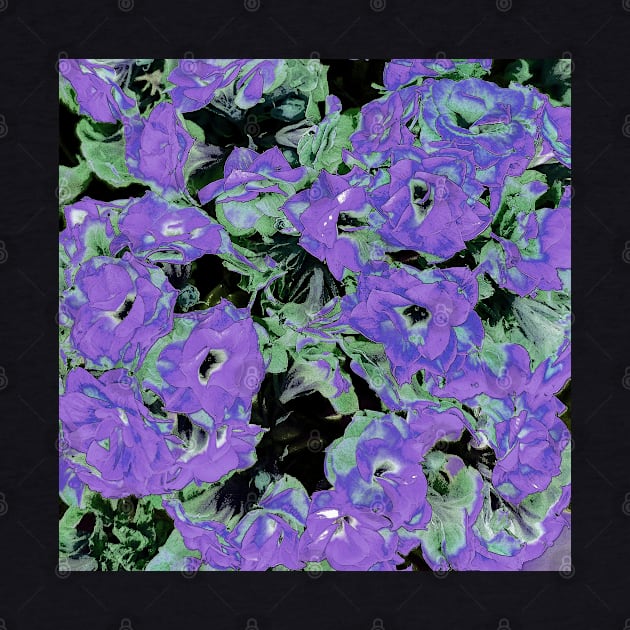 Illustration Purple Kalanchoe Plant by BlakCircleGirl